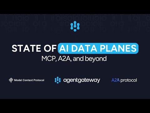 State of AI data planes